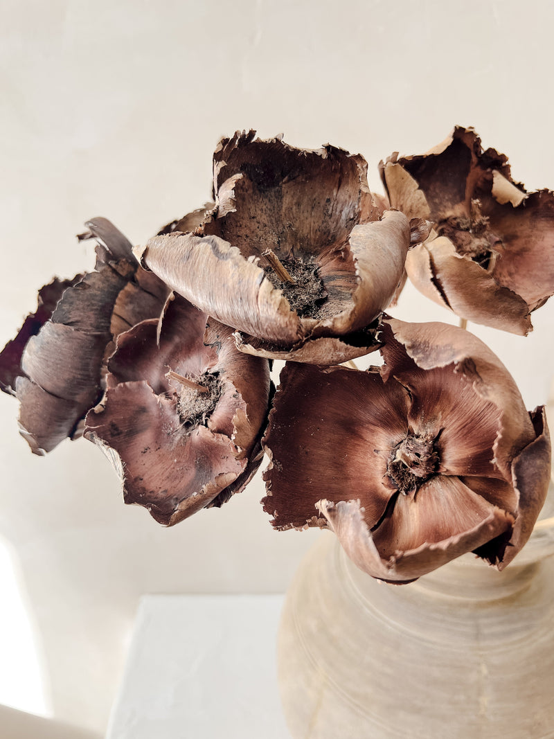 Preserved Palm Flower Caps (x2) | Natural Wander & Wild 