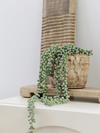 String Of Pearls Faux Plants & Foliage Wander & Wild 