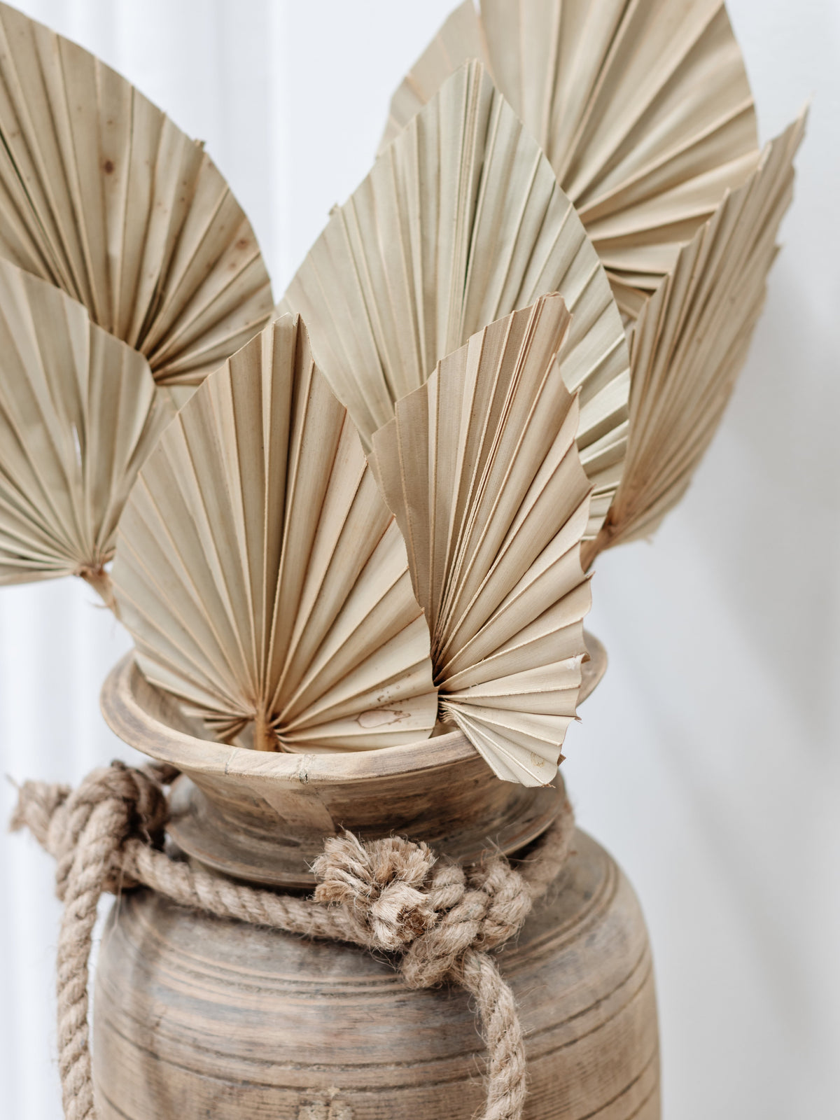 Dried Palm Spears | Natural Preserved Stems Wander & Wild 