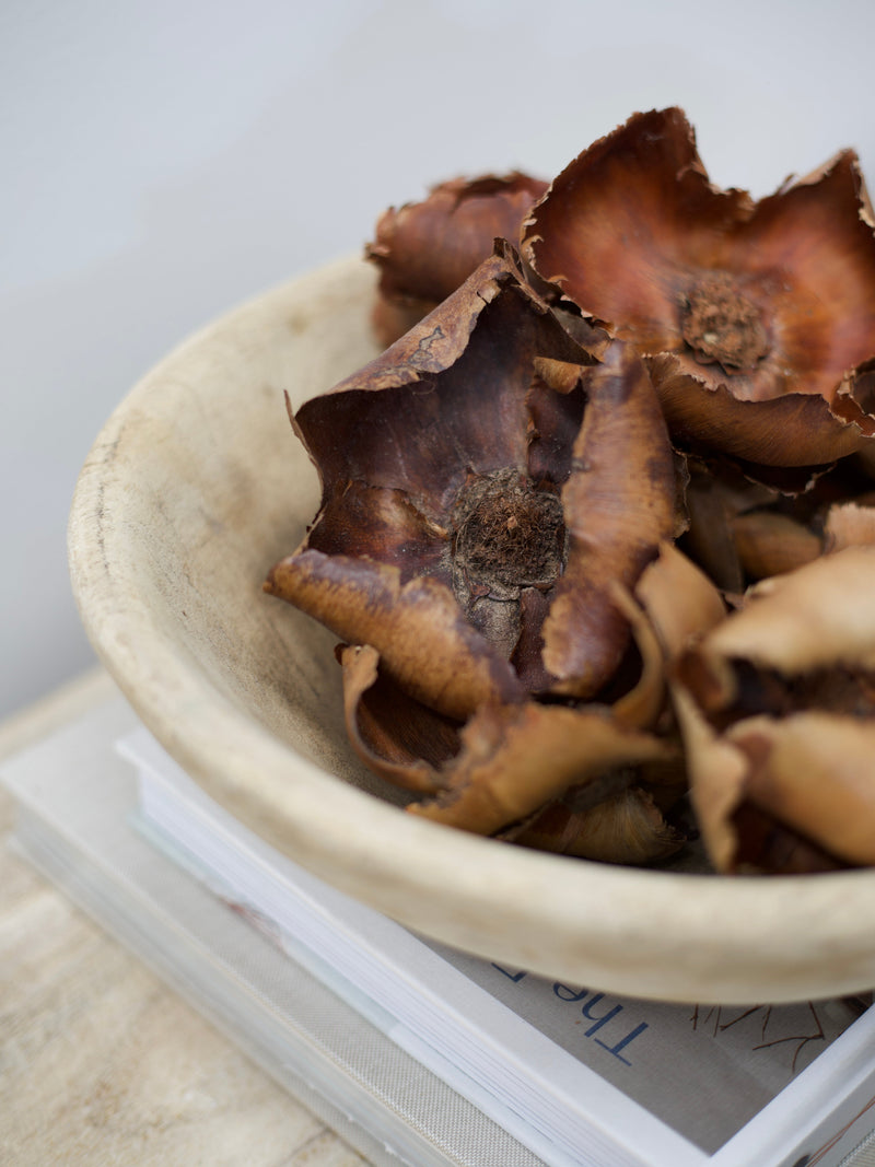 Preserved Palm Flower Caps (x2) | Natural Preserved Stems Wander & Wild 