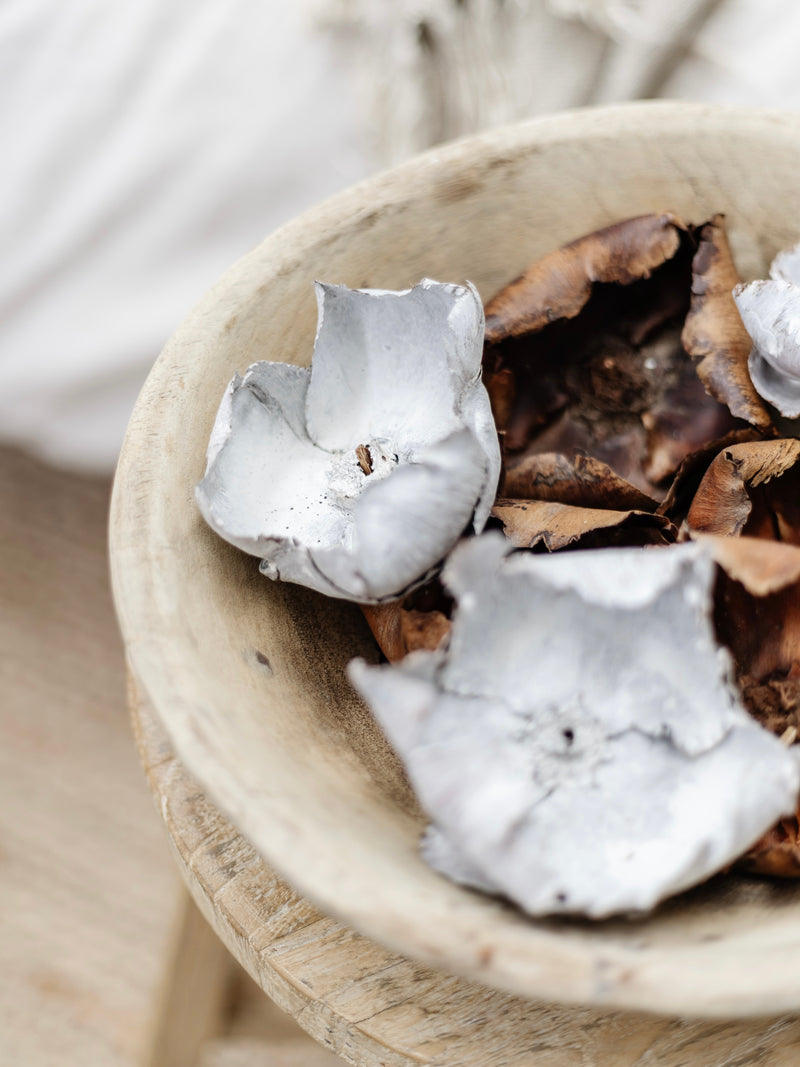 Preserved Palm Flower Caps (x2) | Whitewash Preserved Stems Wander & Wild 