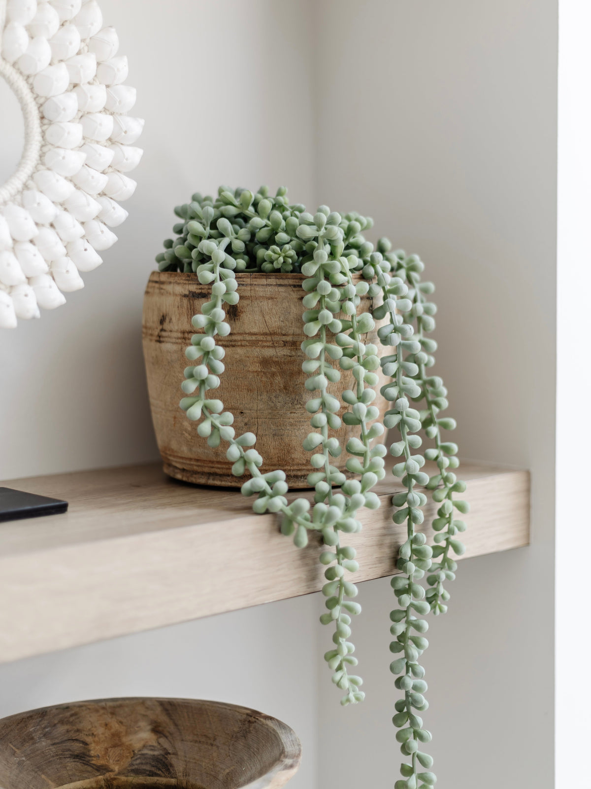 String Of Pearls Faux Plants & Foliage Wander & Wild 