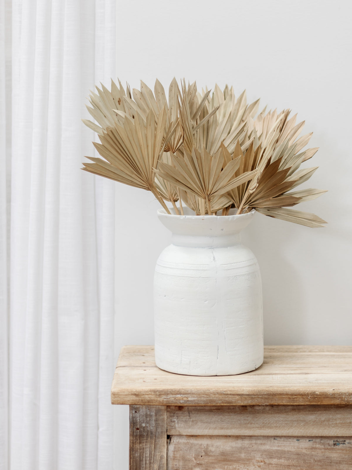 Dried Palm Fans | Natural Preserved Stems Wander & Wild 