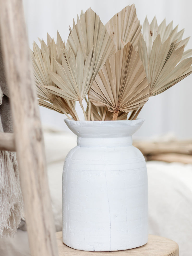 Dried Palm Fans | Natural Preserved Stems Wander & Wild 