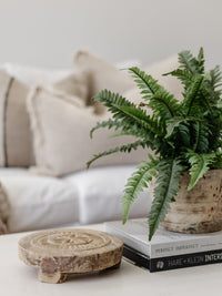 Boston Fern | 40cm Faux Foliage Wander & Wild 