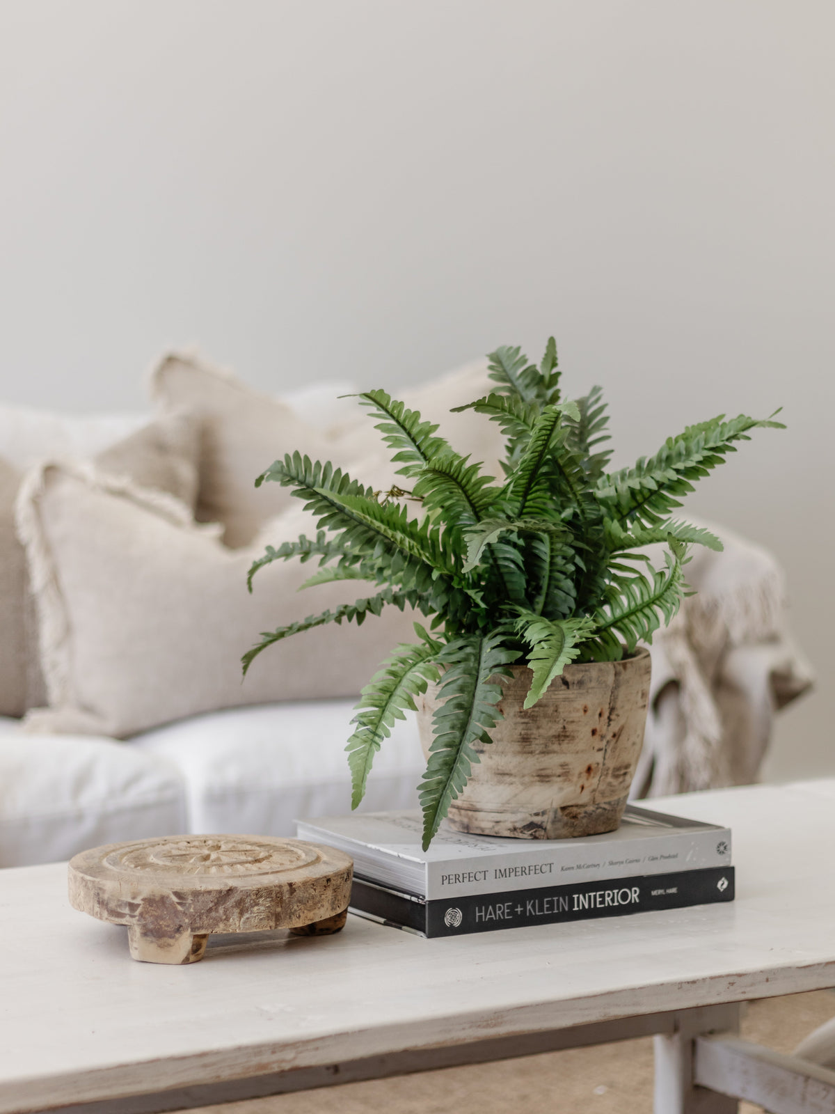 Boston Fern | 40cm Faux Foliage Wander & Wild 