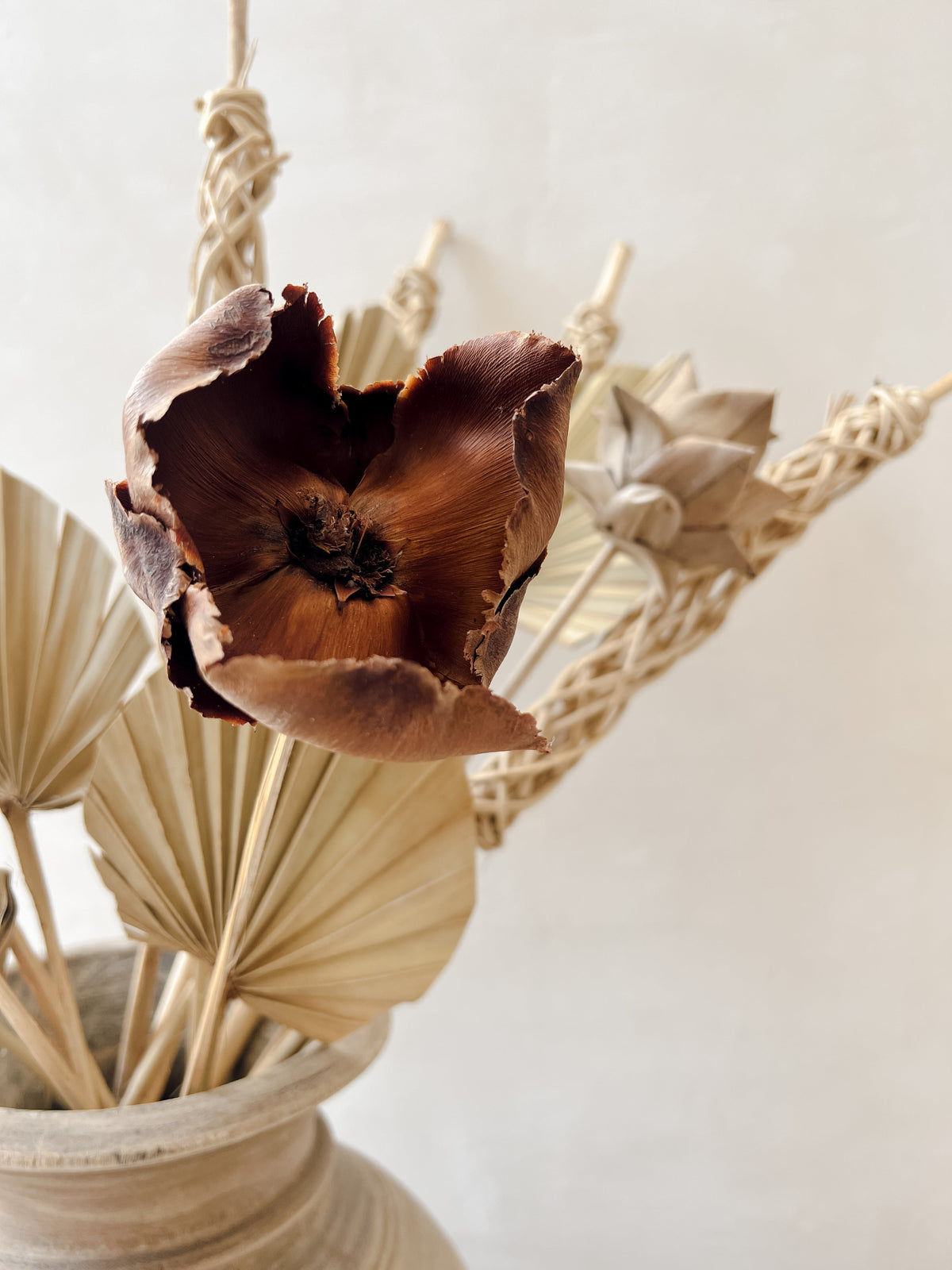 Preserved Palm Flower Caps (x2) | Natural Wander & Wild 