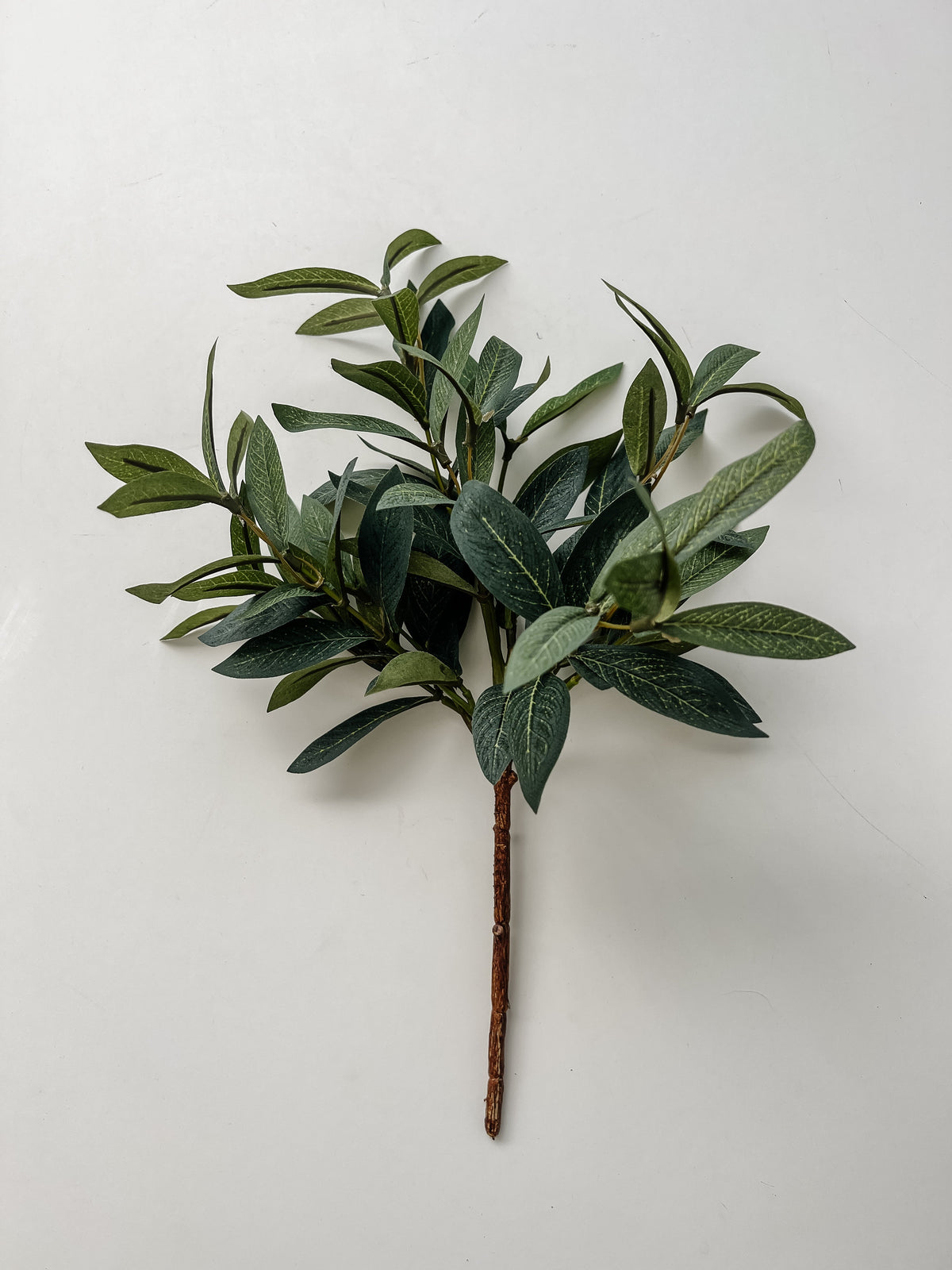 Olive Spray Stem | 40cm Wander & Wild 