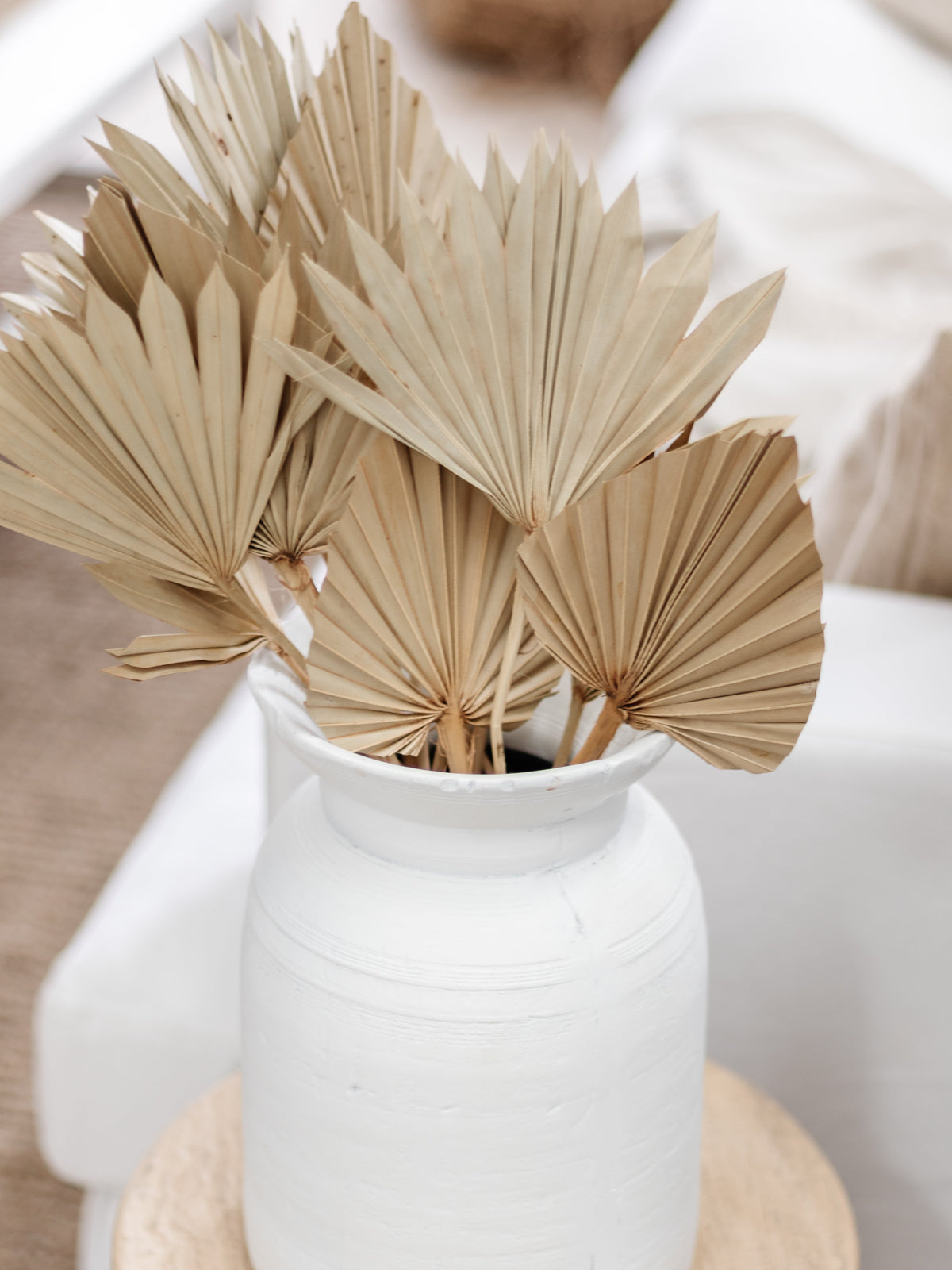 Dried Palm Fans | Natural Preserved Stems Wander & Wild 