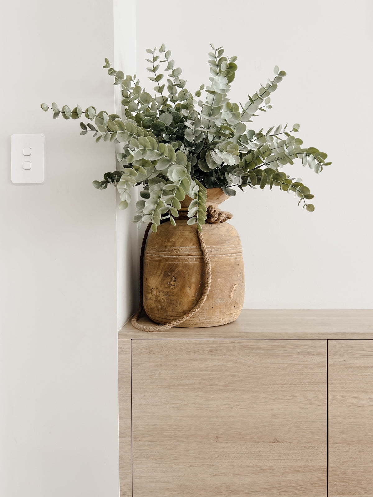 Eucalyptus Spray Stem | 56cm Wander & Wild 