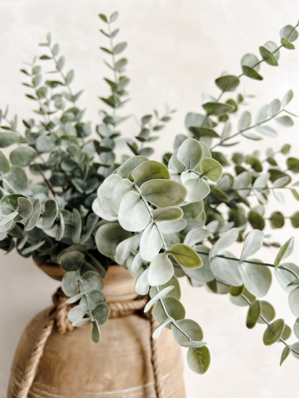 Eucalyptus Spray Stem | 56cm Wander & Wild 