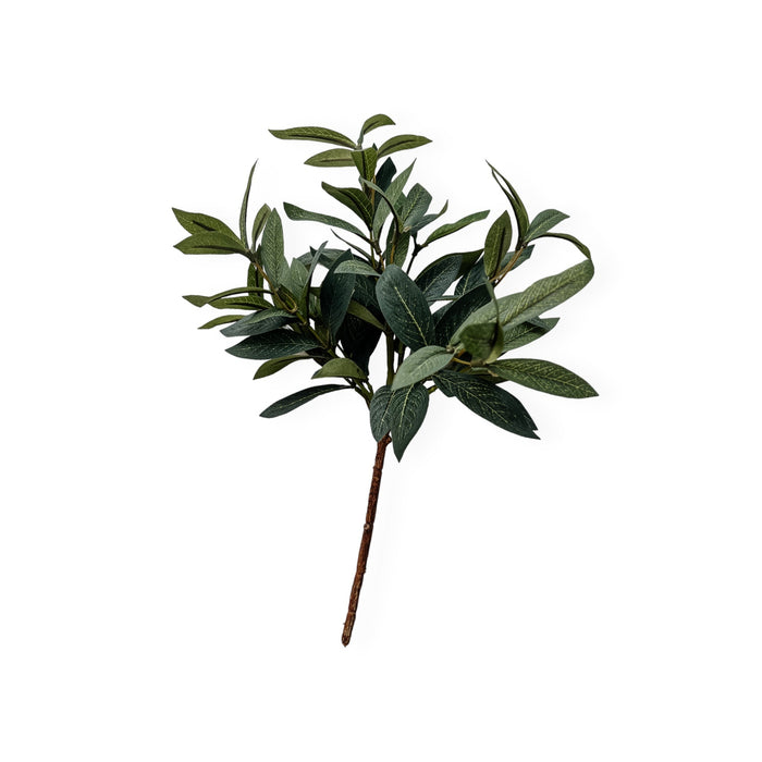 Olive Spray Stem | Wander & Wild 