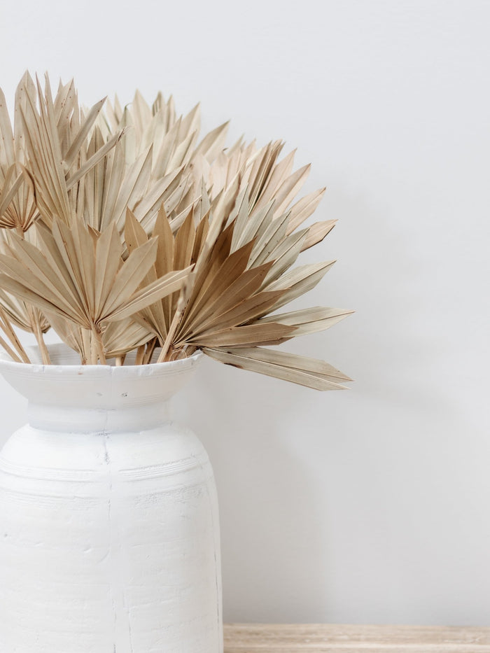 Dried Palm Fans | Natural - Wander & Wild Home