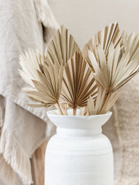 Dried Palm Fans | Natural - Wander & Wild Home