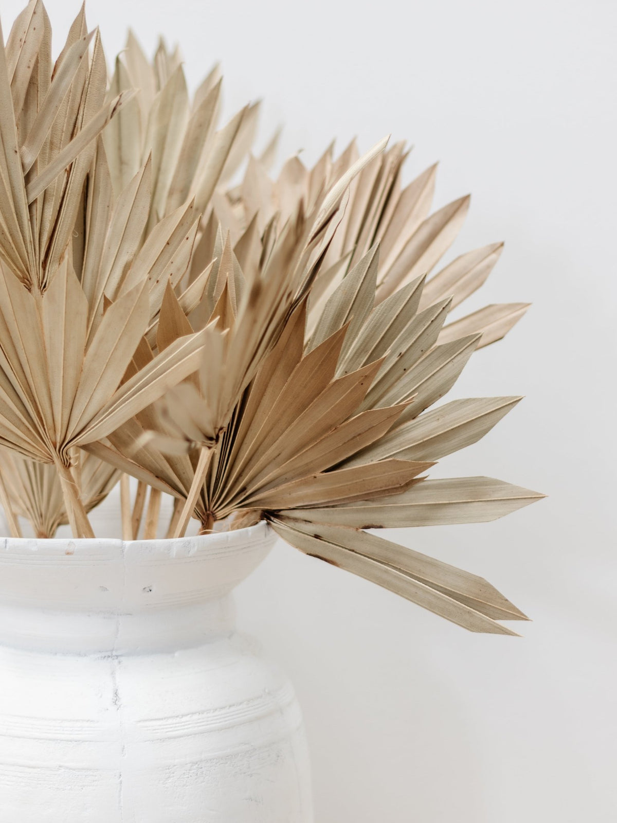 Dried Palm Fans | Natural - Wander & Wild Home