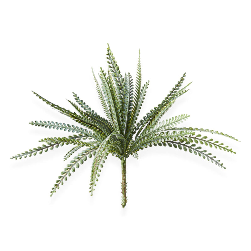 Fern Bush Stem | 33cm Wander & Wild 