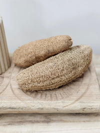 Natural Loofah - Wander & Wild Home