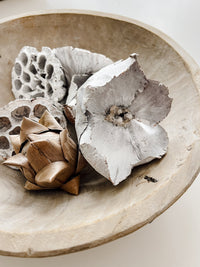 Preserved Palm Flower Caps (x2) | Whitewash - Wander & Wild Home