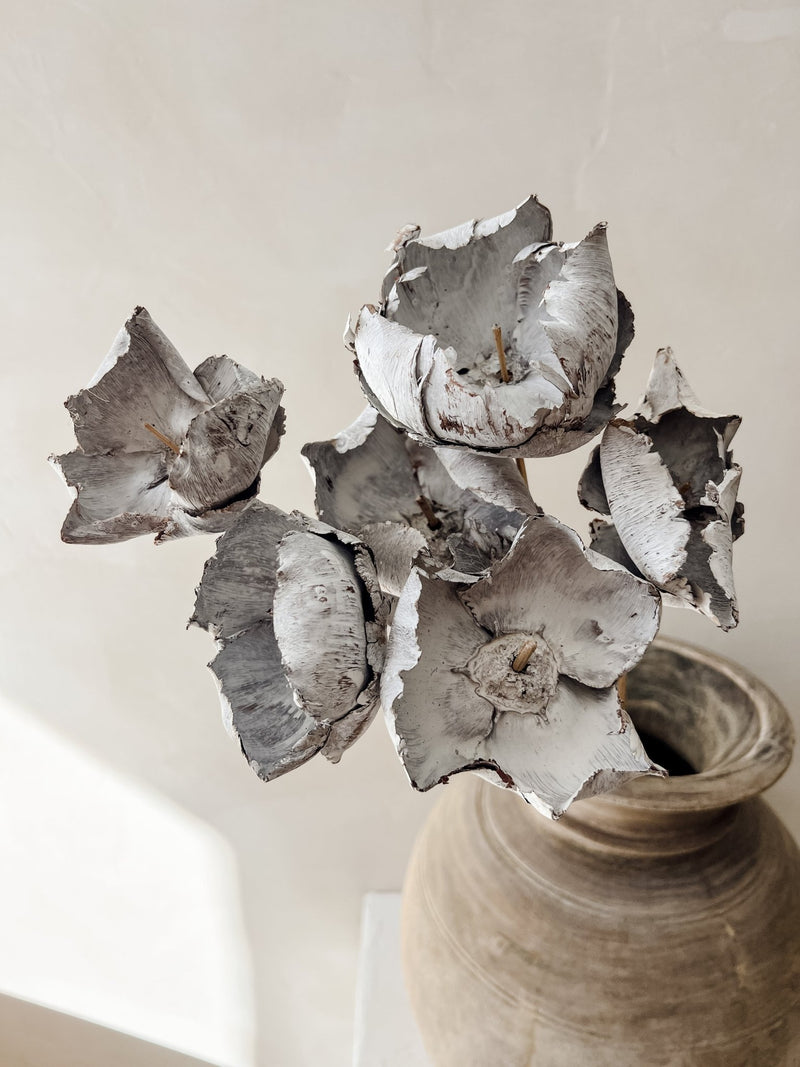 Preserved Palm Flower Caps (x2) | Whitewash - Wander & Wild Home