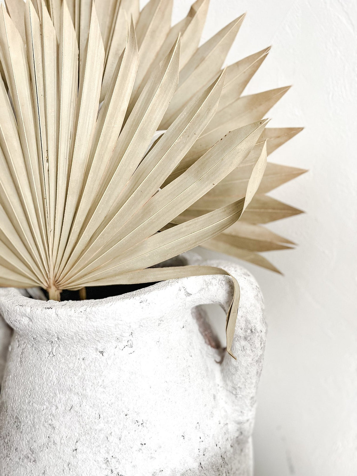 Dried Palm Fans | Natural - Wander & Wild Home